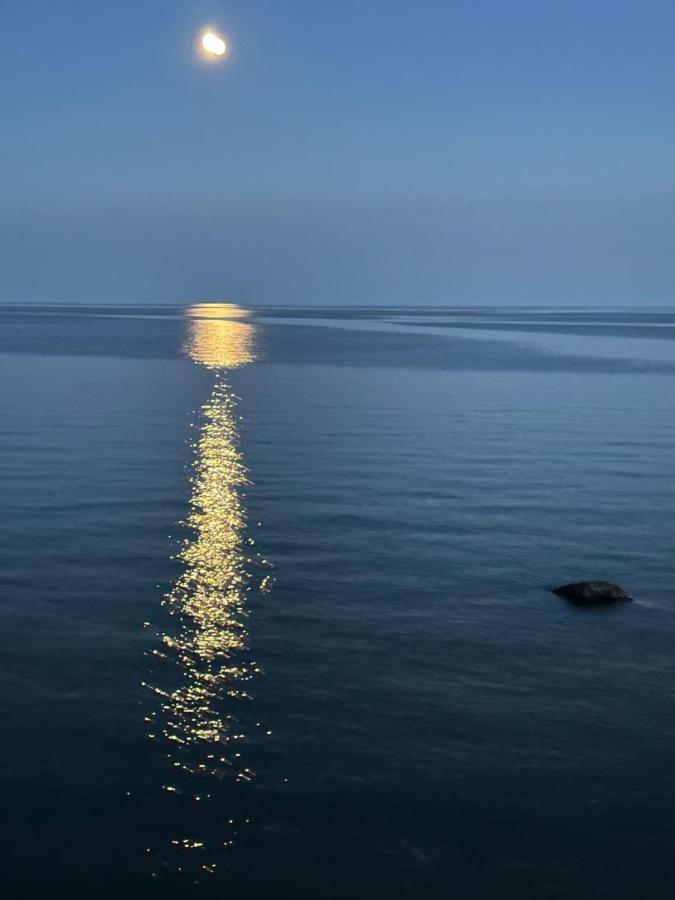 The Wind In The Willows - Luxury Lakefront Oasis Bed and Breakfast Cobourg Esterno foto